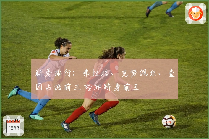 新秀排行：弗拉格、克努佩尔、奎因占据前三 哈珀跻身前五